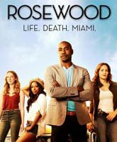 Rosewood season 2 /  2 